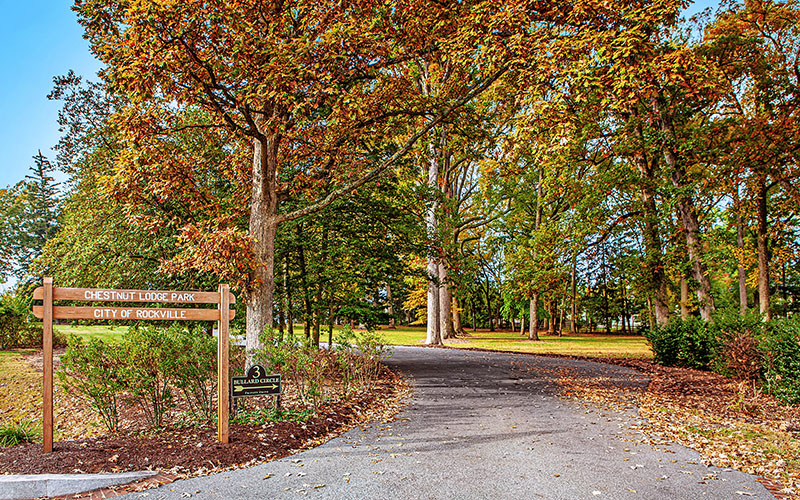 A paved path curves through Chestnut Lodge Park in Rockville, surrounded by tall trees with autumn foliage and a wooden park sign at the entrance.
