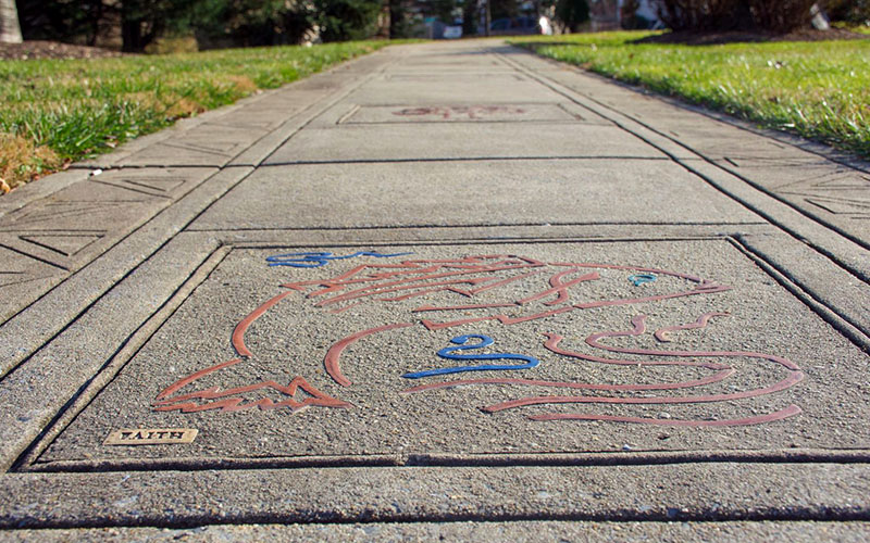 Concrete sidewalk with engraved and painted fish design in the foreground, bordered by grass and trees on either side.