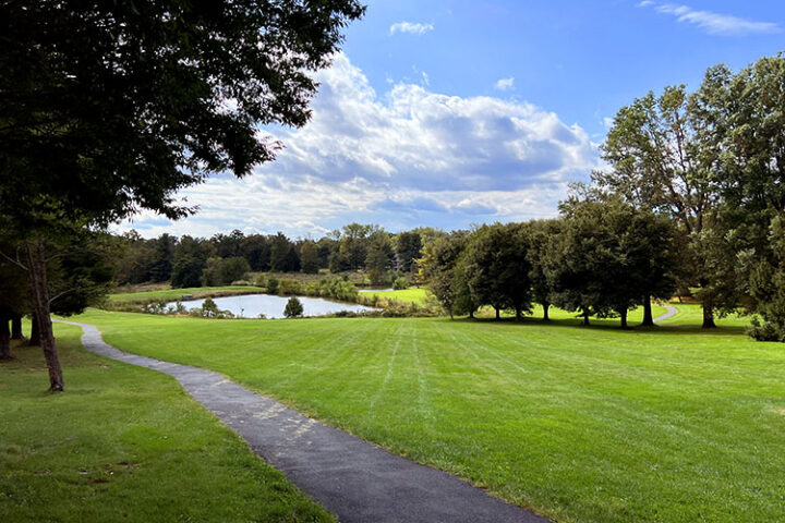 A paved path runs through a grassy park with scattered trees, leading to a small pond under a partly cloudy sky.