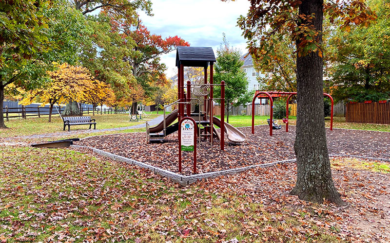 A small playground with slides, swings, and climbing equipment sits on a mulch surface surrounded by autumn trees and scattered fallen leaves.