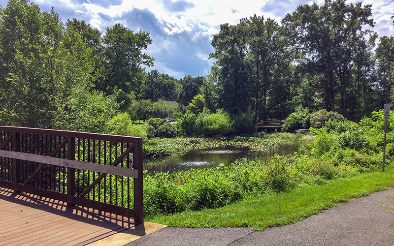 A wooden bridge crosses over a paved path near a pond surrounded by green trees and plants under a partly cloudy sky.