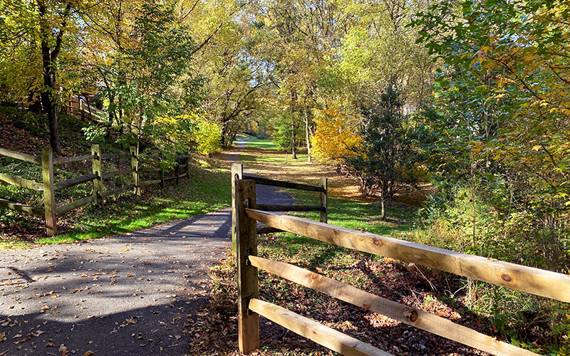 A paved walking path passes through a wooden fence and extends into a wooded area with green and yellow autumn foliage.