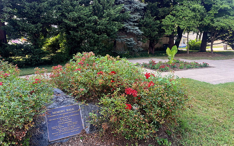 A garden with blooming red flowers and a stone marker featuring a plaque labeled "Memory Walk" next to a paved walkway, surrounded by trees and greenery.