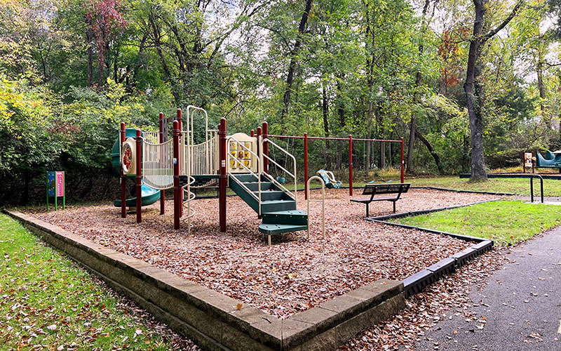 A playground with slides, climbing equipment, and benches is surrounded by trees and fallen leaves on the ground.