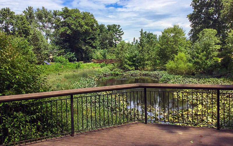 Wooden deck with metal railing overlooking a pond surrounded by green trees and plants under a partly cloudy sky.