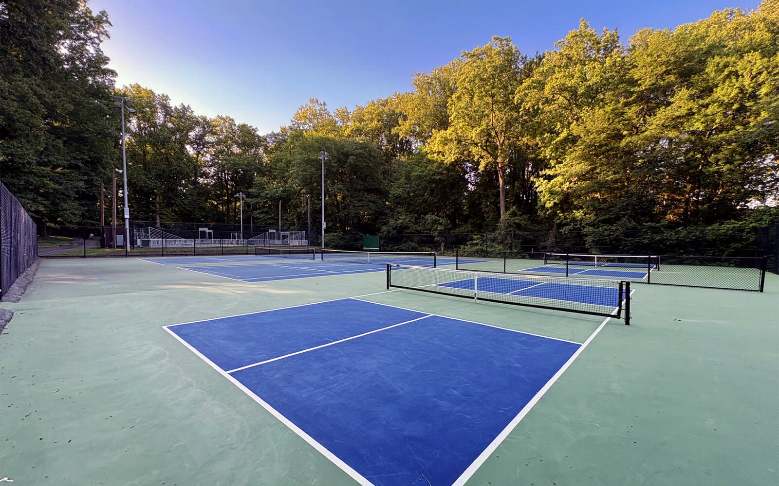 Four outdoor pickleball courts with blue playing surfaces and green borders, surrounded by trees and fencing, under a clear sky.