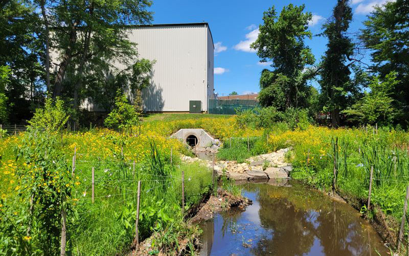 A drainage pipe emerges from a grassy area with yellow wildflowers, leading into a stream; a large metal building stands in the background under a blue sky.