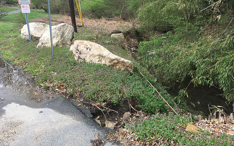 Large rocks and overgrown plants line the edge of a paved path near a small creek, with roadside signs visible in the background.