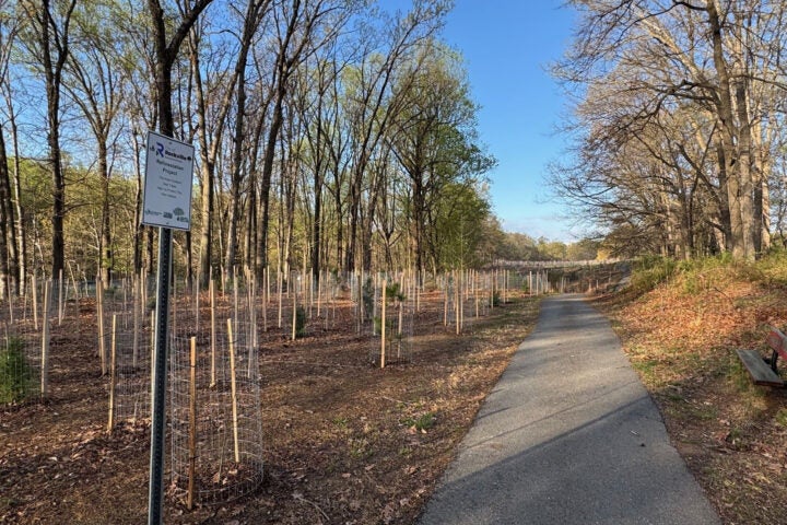 A paved path runs through a wooded area where young trees are planted in protective tubes; a sign is posted on the left side of the image.