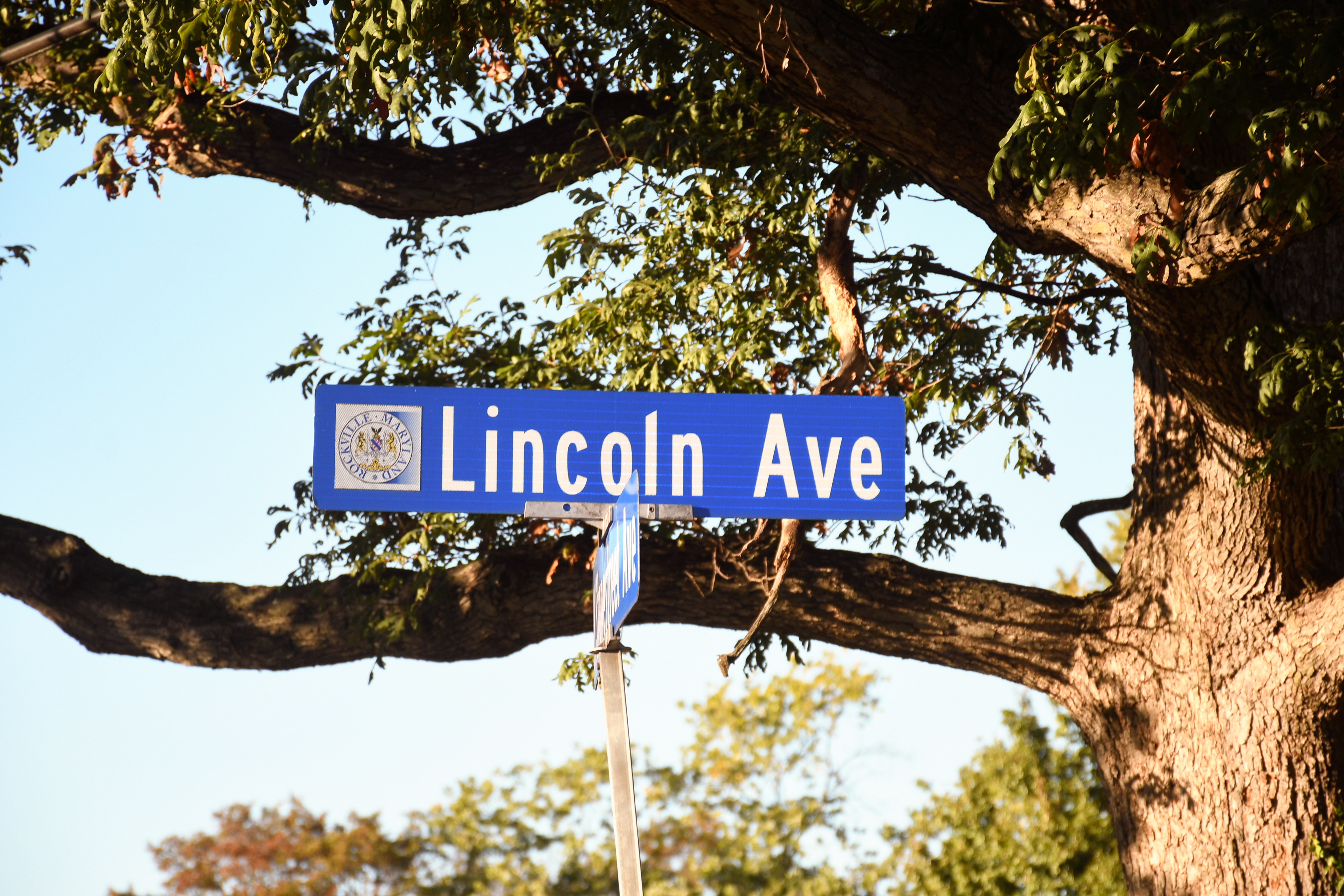 A blue street sign with white text reads  A blue street sign with white text reads