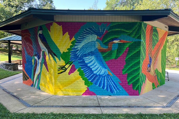 A colorful mural of large birds, including herons and parrots, painted on the exterior brick wall of a pavilion in a park setting.
