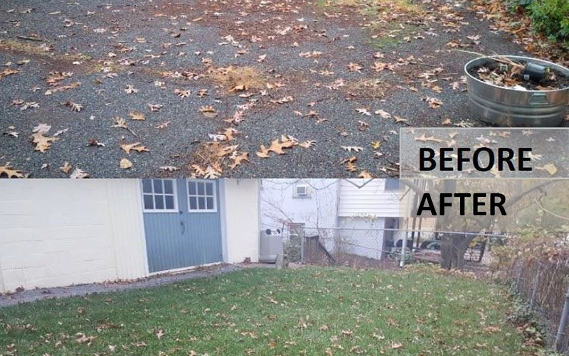 Split image showing a leaf-strewn driveway labeled "BEFORE" above a cleaned area with green grass labeled "AFTER.