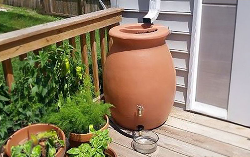 A large rain barrel collects water from a downspout on a deck, with potted plants and a glass bowl placed nearby.