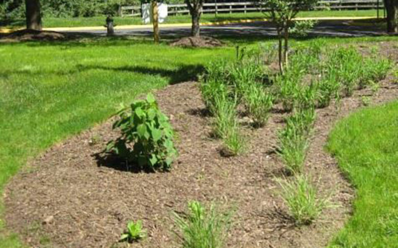 A landscaped garden bed with young plants and mulch is surrounded by green grass in a park setting.