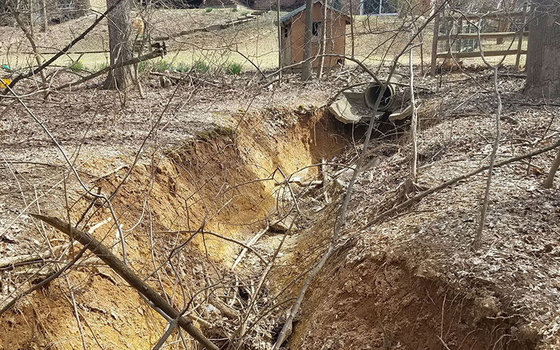 A deep, eroded gully runs through a wooded area with exposed soil, leaf litter, and scattered branches; a drainage pipe exits into the gully.