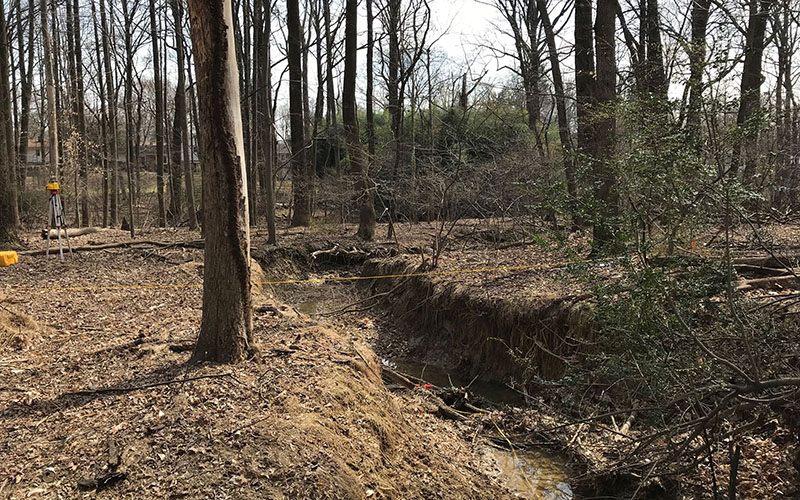 A wooded area with leafless trees, exposed soil, a small creek running through the center, and surveying equipment set up on the left side.