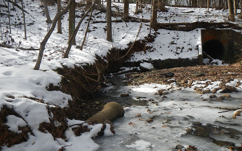 A small creek partially covered with ice runs through a snowy forest, with a large drainage pipe visible in the background.