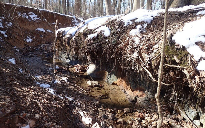 Small stream running through a forested area with snow patches, exposed roots, and eroded soil along the banks.