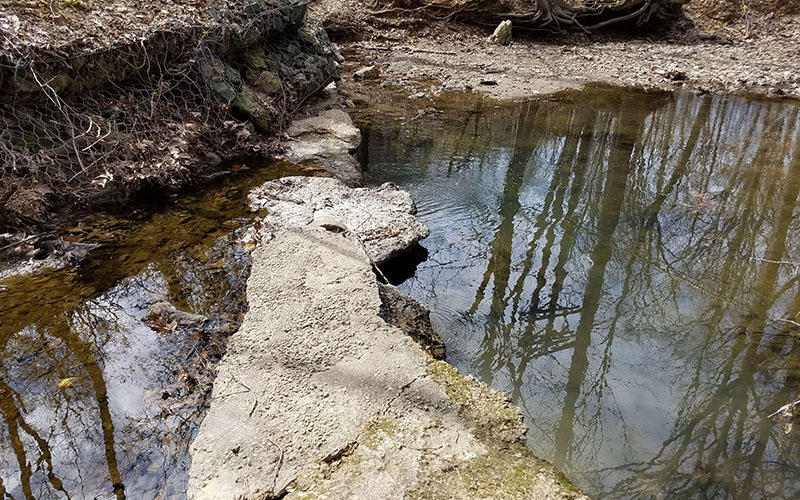 A shallow stream with clear water flows beside a concrete slab and rocks, surrounded by leafless trees reflected on the water's surface.