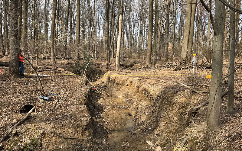 A shallow, eroded stream runs through a leafless forest; surveying equipment and a person in an orange vest are visible among the trees.