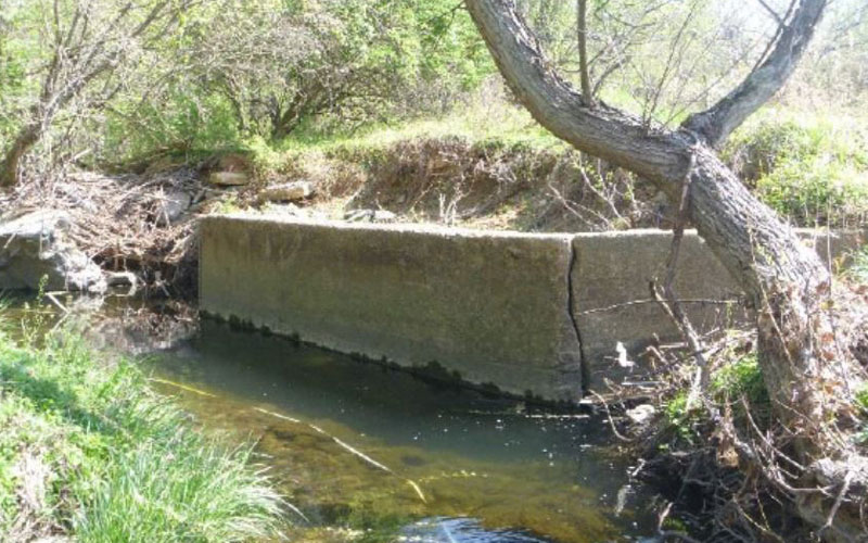 A concrete wall spans a small creek with trees and vegetation on both sides.