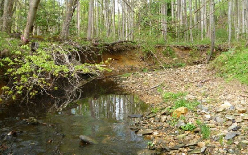 A small creek runs through a forested area with exposed soil banks, rocks, and trees reflected in the water.