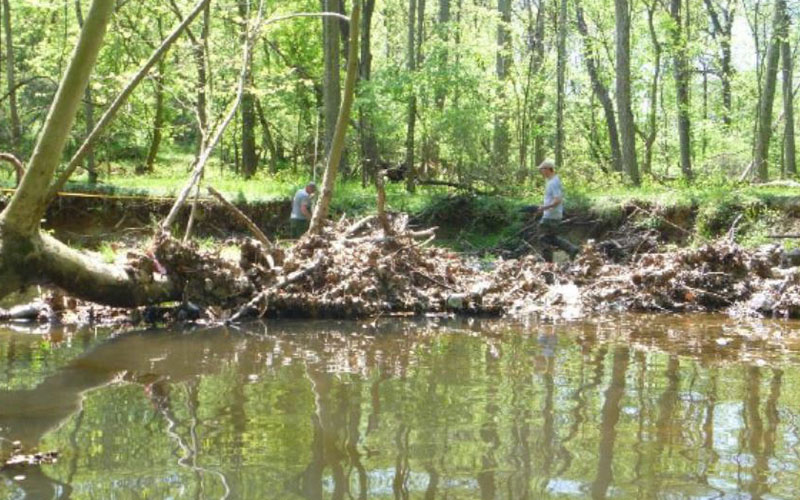 Two people stand on the bank of a forested stream, near a pile of branches and debris, with trees and water in the foreground.