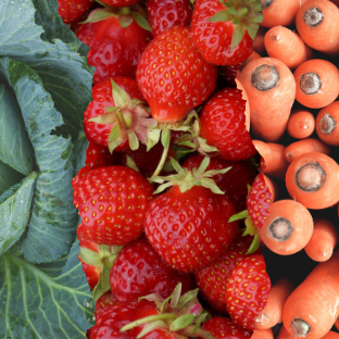 Fresh strawberries, lettuce and carrots.
