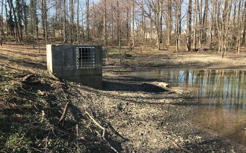A concrete drainage structure with a metal grate stands beside a partially dry pond in a leafless wooded area.