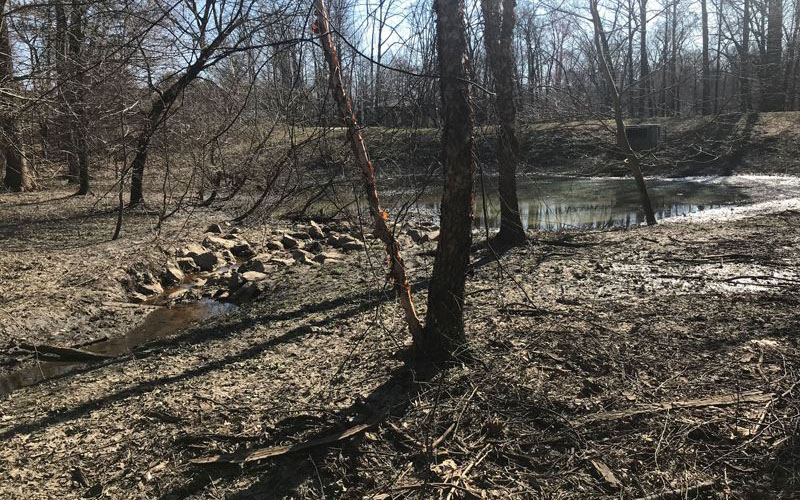 A small creek with rocks flows into a pond surrounded by bare trees and dry, leaf-covered ground on a sunny day.