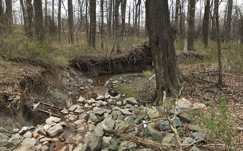 A small stream flows through a wooded area with rocks, exposed tree roots, and scattered debris along the banks.