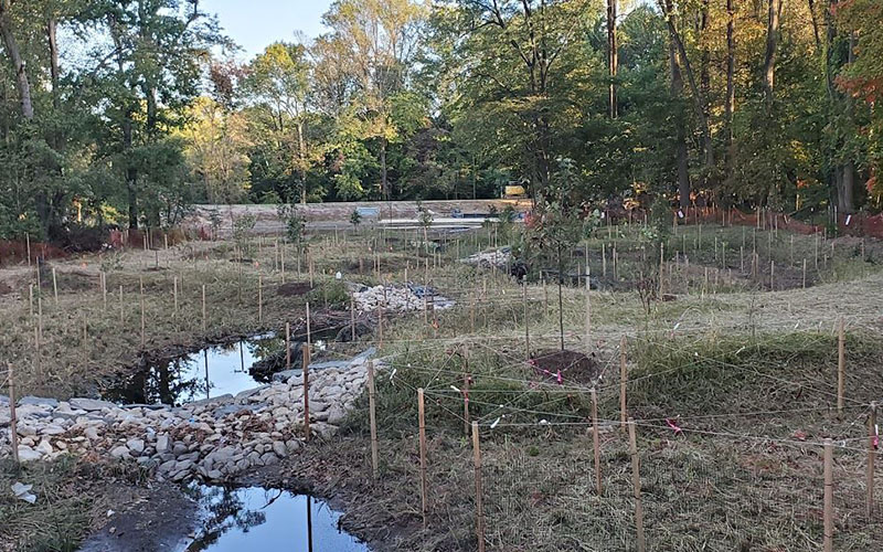 A restoration site with newly planted vegetation, small streams, and wooden stakes marking areas, surrounded by trees and bordered by a road in the background.