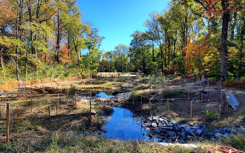 A restored wetland area with a small stream, rocks, fencing, and surrounding trees under a clear blue sky.