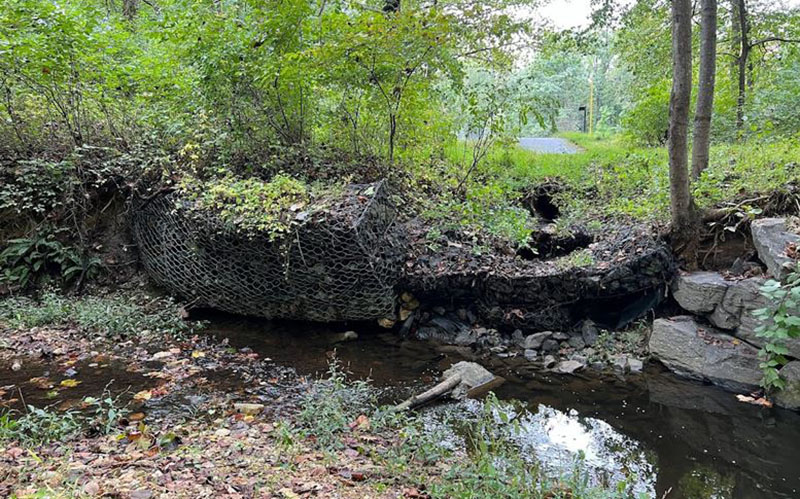 A small creek flows under a large wire mesh gabion filled with rocks, surrounded by dense green trees and vegetation.