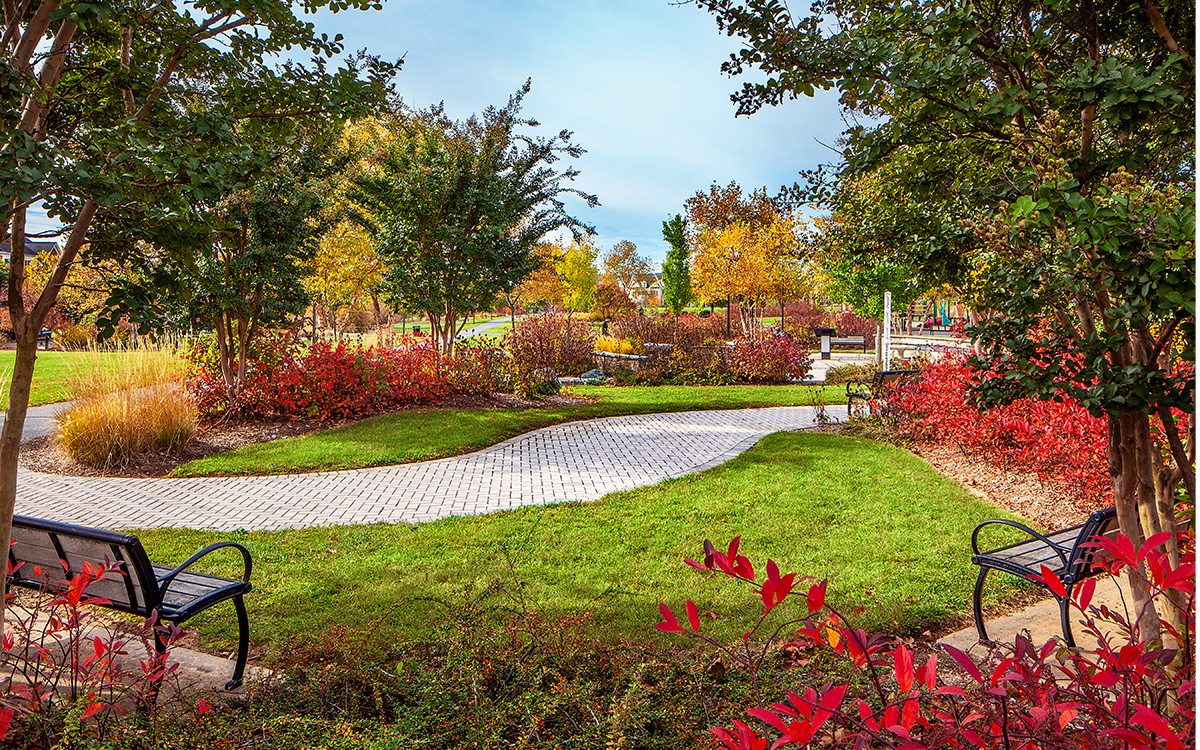 A paved path winds through a landscaped park with green grass, red and yellow foliage, trees, and two empty benches.