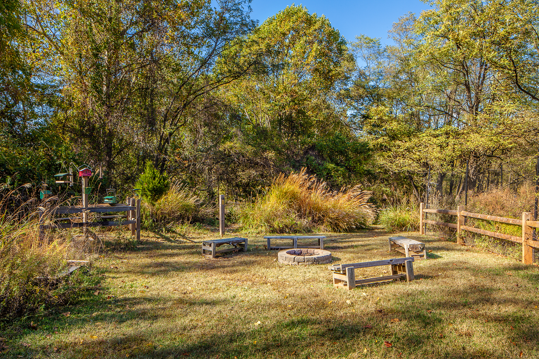 Campfire area and bird feeding observation station