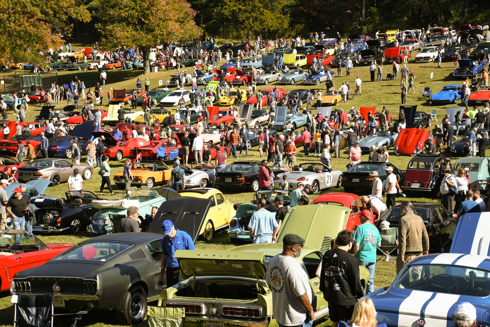 Cars in a field at the Rockville Antique and Classic Car Show