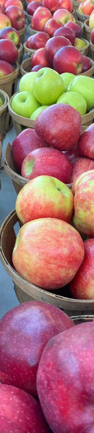 Fruits and vegetables at a farmer's market