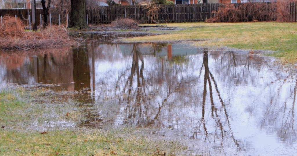 A flooded field