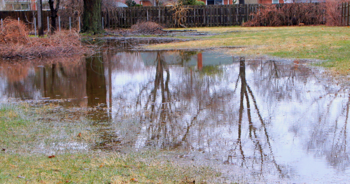 Virtual Open House Offers Overview of Flood Resilience Planning