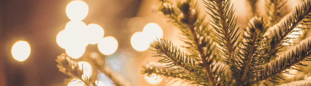 Closeup of snow on Christmas tree branches