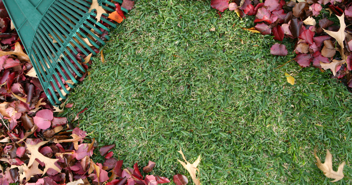 Leaf Vacuuming Makes Final Sweep This Month