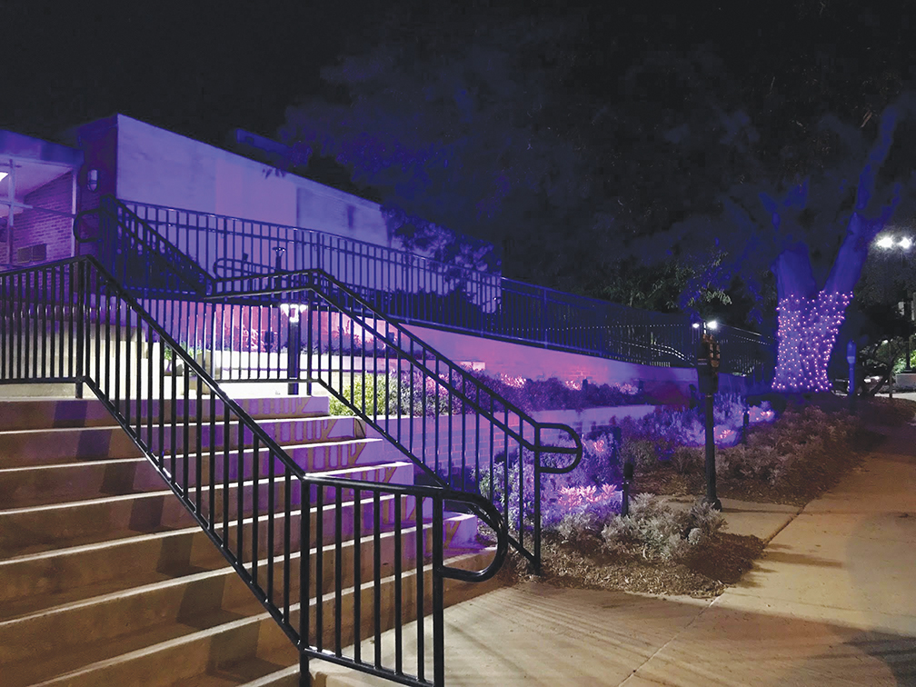 The outside of Rockville City Hall lit with purple lights