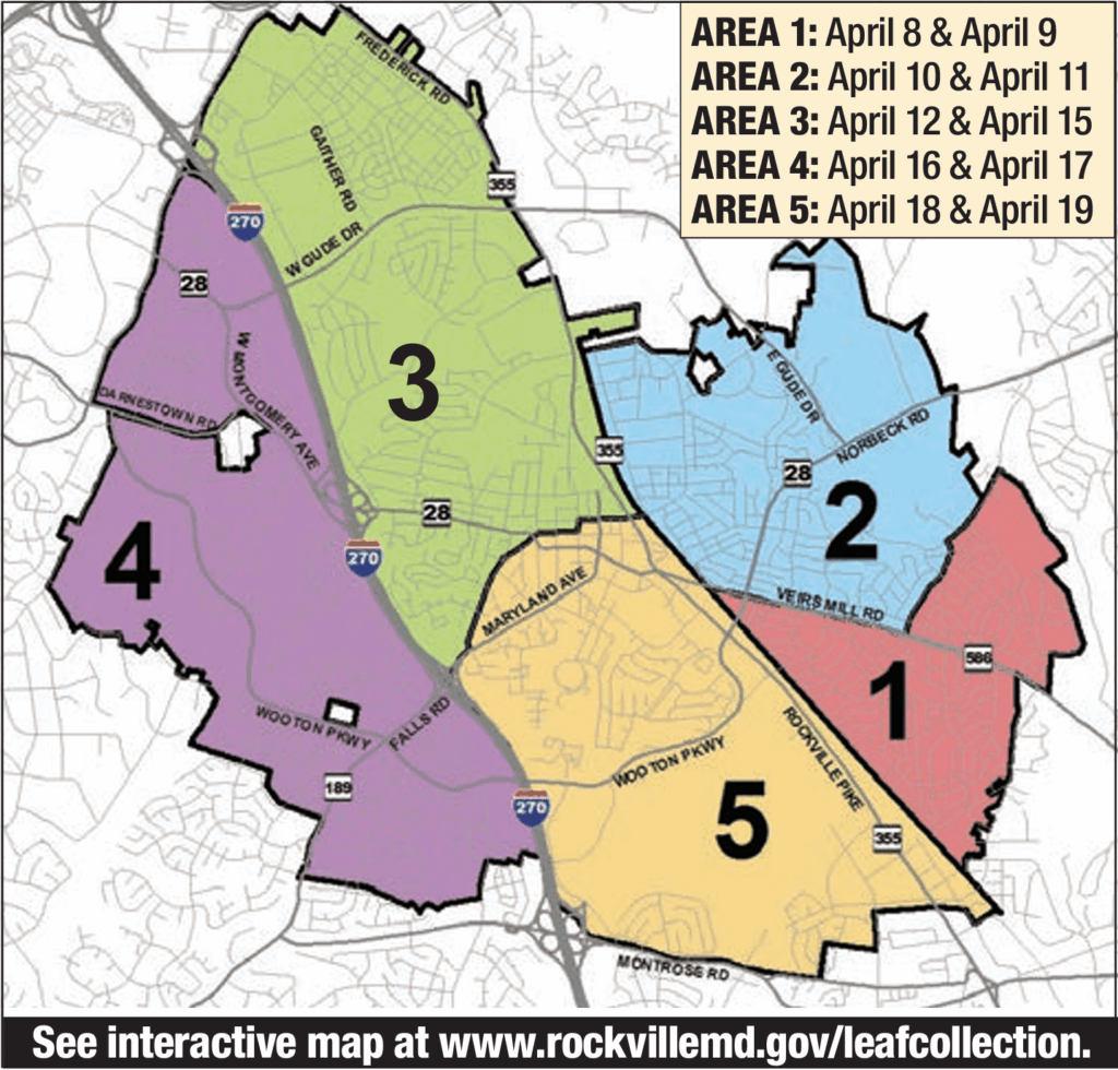 Spring 2024 Leaf Collection Map