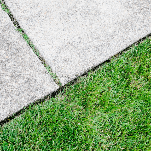 Sidewalk and grass