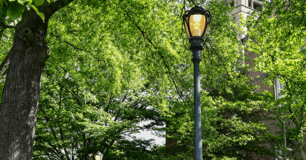 A lampost is pictured in front of a brick building surrounded by trees
