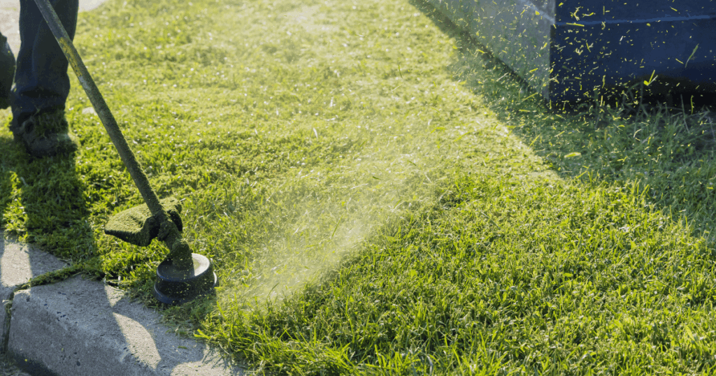 Person trimming a yard with a weed wacker
