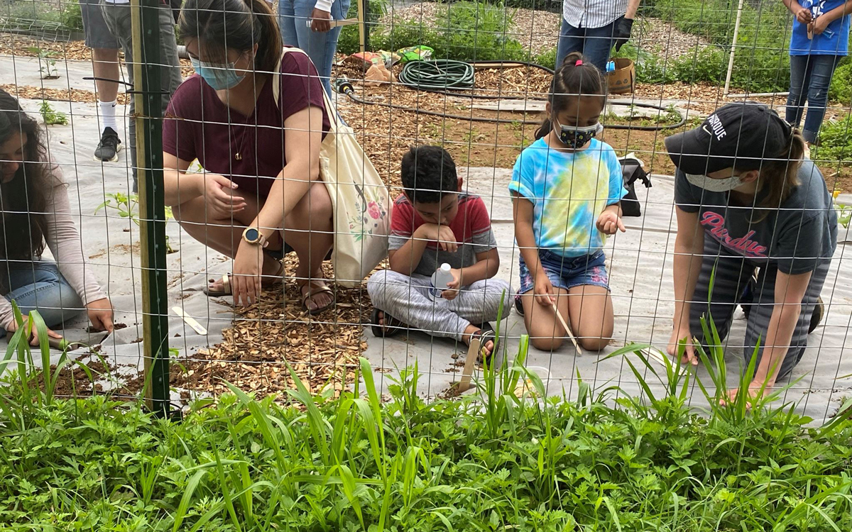 A group of people, including children and adults, wearing masks, kneel and work with soil inside a fenced garden area.