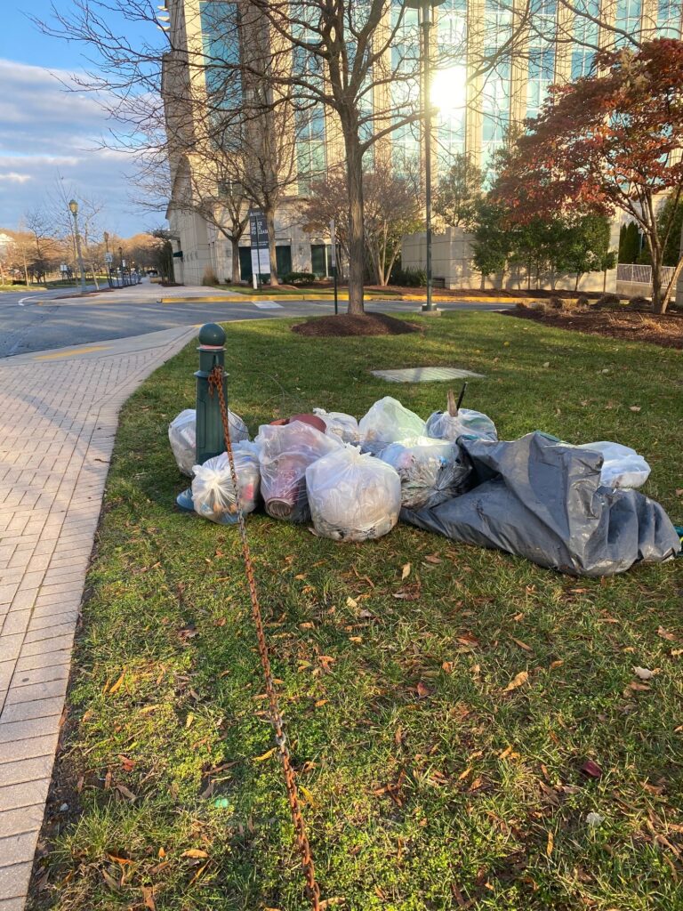 Bags of trash cleaned up from the stream valley areas of King Farm by local scouts