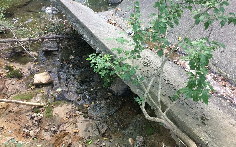 A concrete slab bridge partially collapsed over a small stream, with vegetation growing nearby and water flowing underneath.